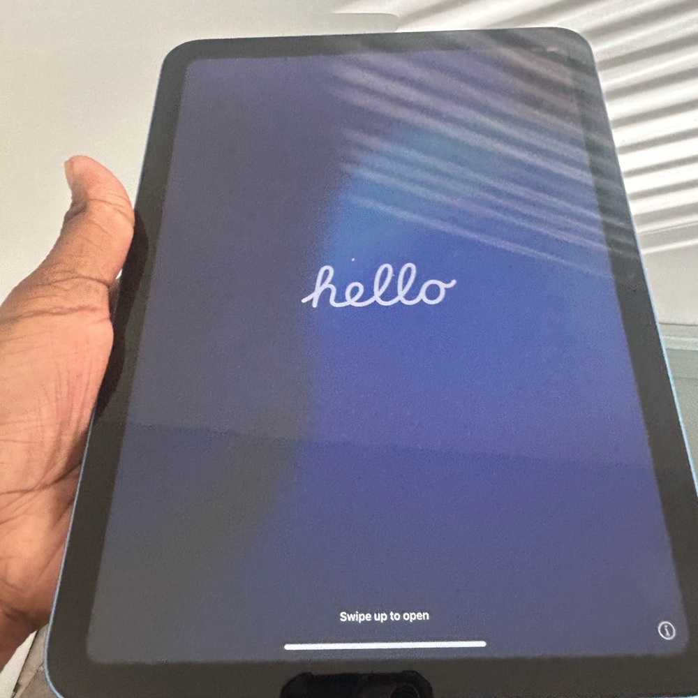 Apple iPad - Blue and Black